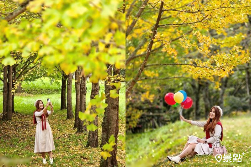 金黃銀杏樹海近距離美拍！浪漫楓紅4大秋季大景一次賞