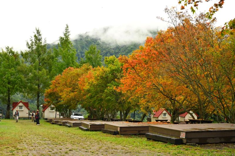 （圖／武陵農場，以下同）
