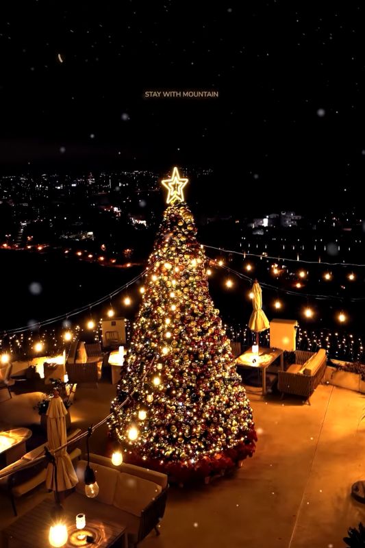 往年「眺高 STAY WITH MOUNTAIN」聖誕樹造景。（圖／眺高 STAY WITH MOUNTAIN，以下同）