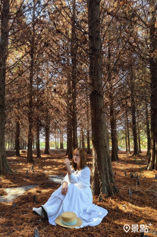 （圖／summer6639）