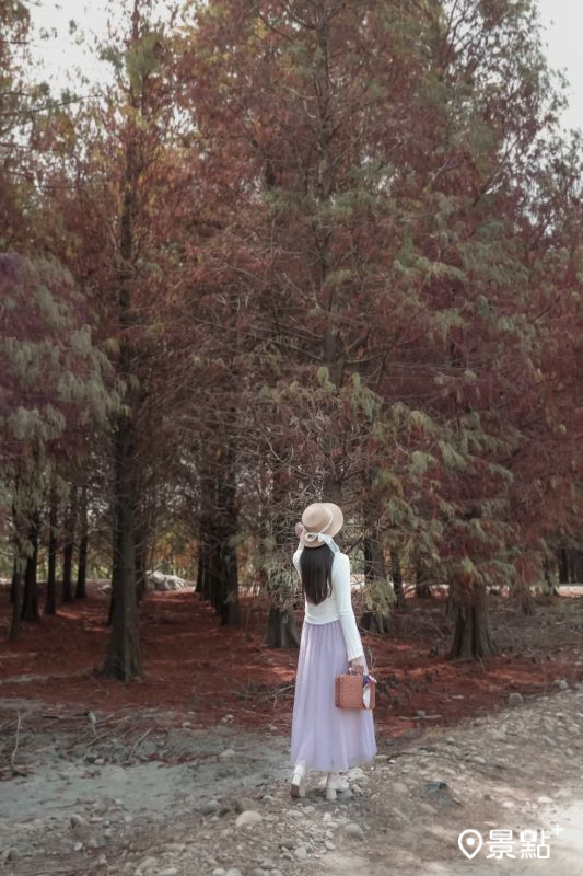 （圖／aday0530）