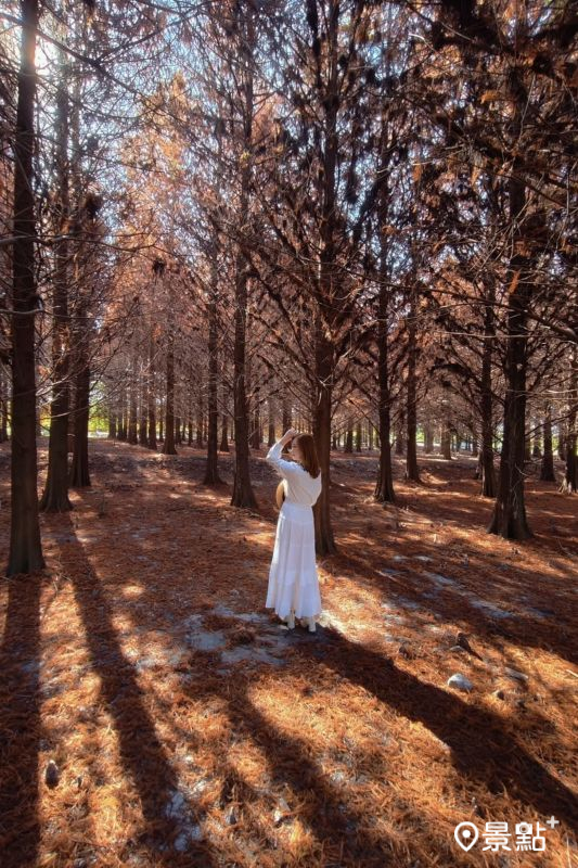 （圖／summer6639）