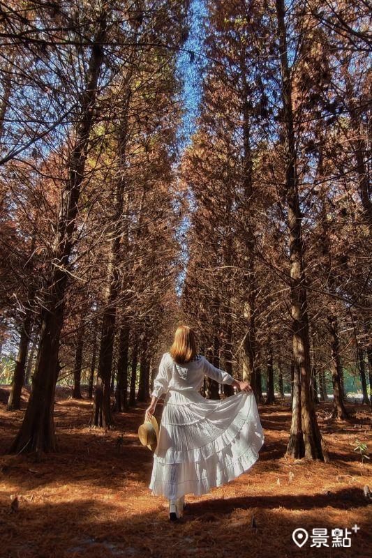 （圖／summer6639）