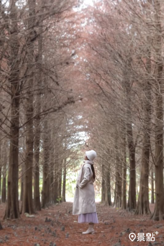 （圖／aday0530）