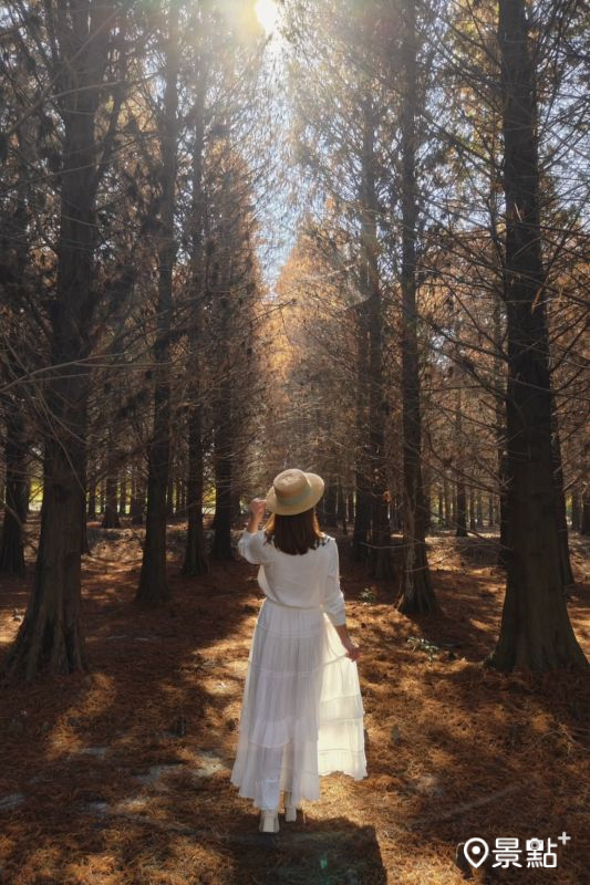 （圖／summer6639）