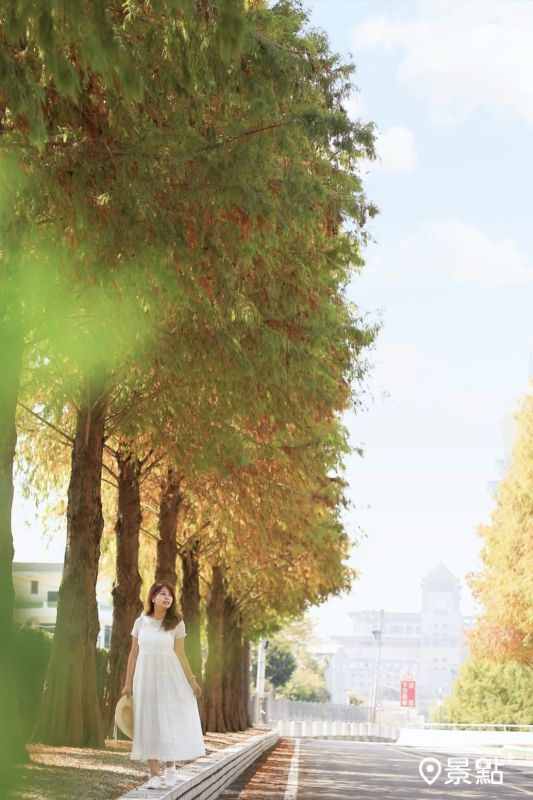 （圖／aaa123471）