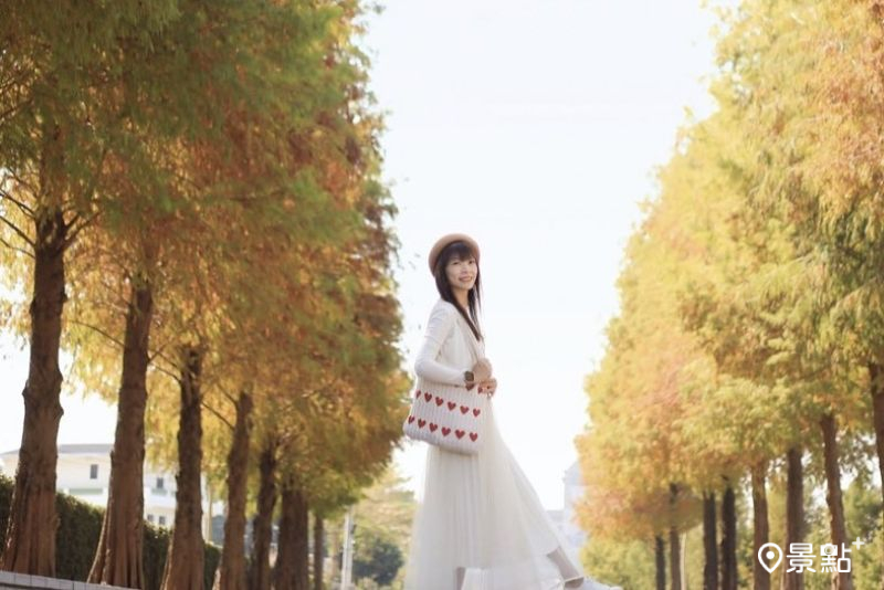 「中台禪寺」200棵漸層落羽松樹海大道，吸引網友前往取景。（圖／queena__0302）