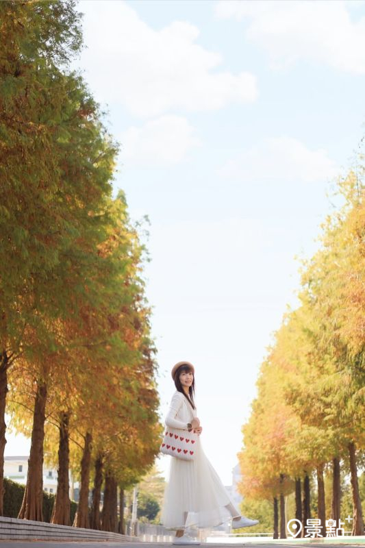 於2025年11月9日拍攝的「中台禪寺」落羽松美景。（圖／queena__0302，以下同）