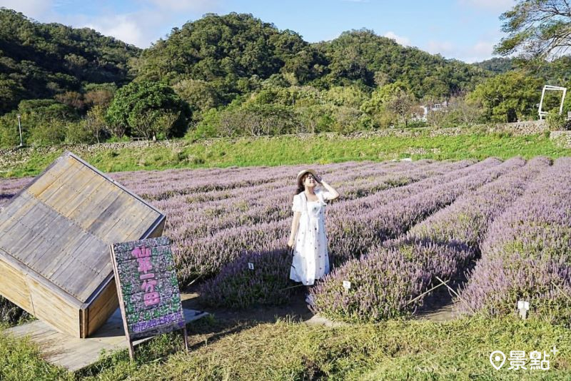 （圖／a_tsai324）