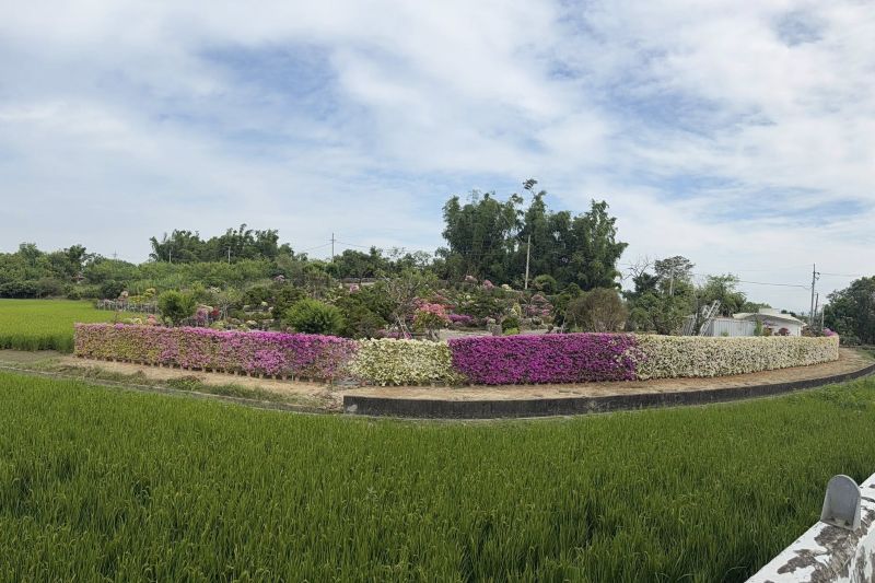 （圖／藏九花園，以下同）