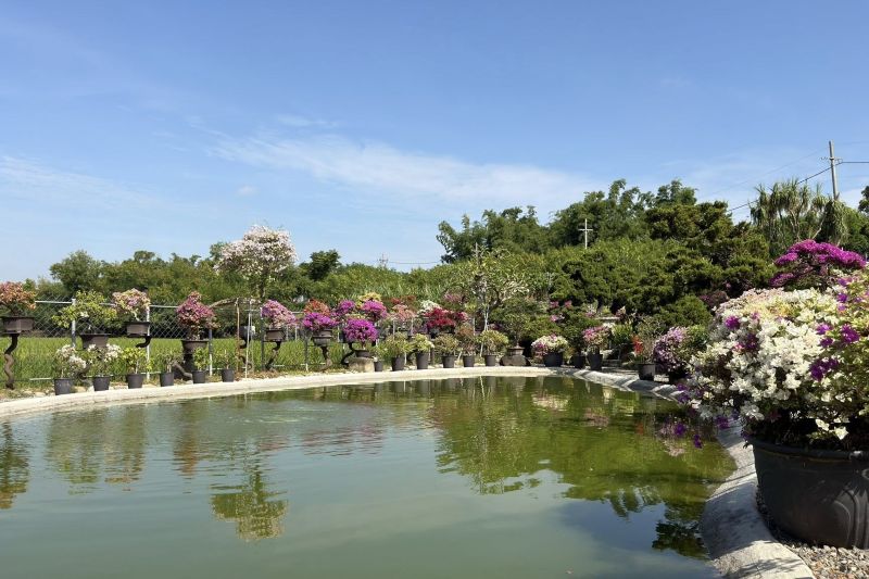 （圖／藏九花園，以下同）