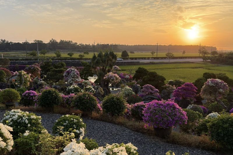 （圖／藏九花園）