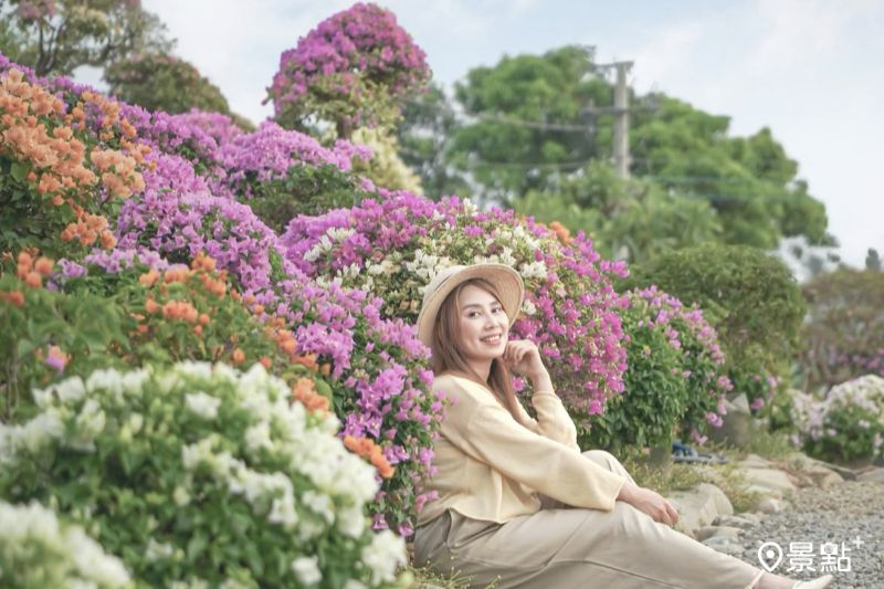 全新景點「藏九花園」於11月1日開園，吸引花迷前往拍照打卡。（圖／yu_ning0202）