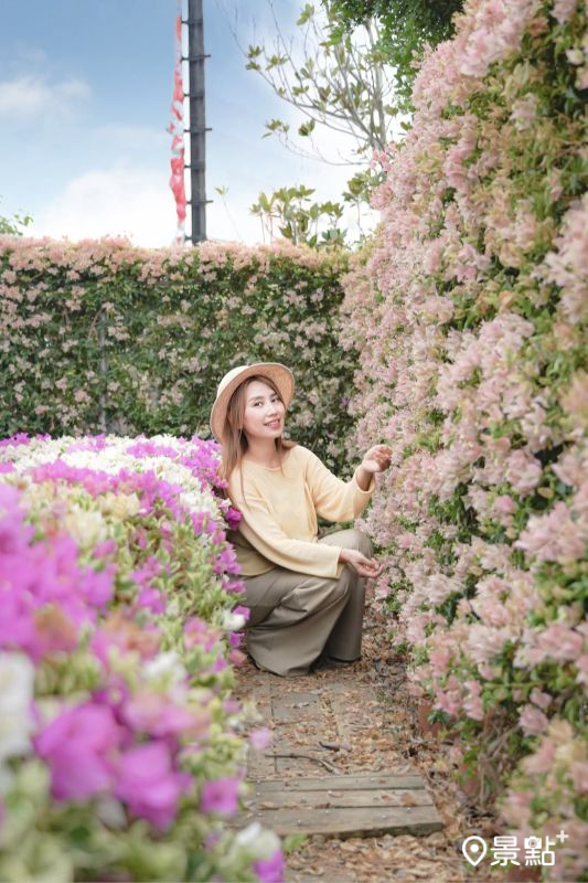 （圖／yu_ning0202）