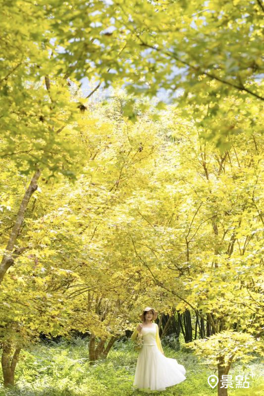 （圖／yijiun_lee）