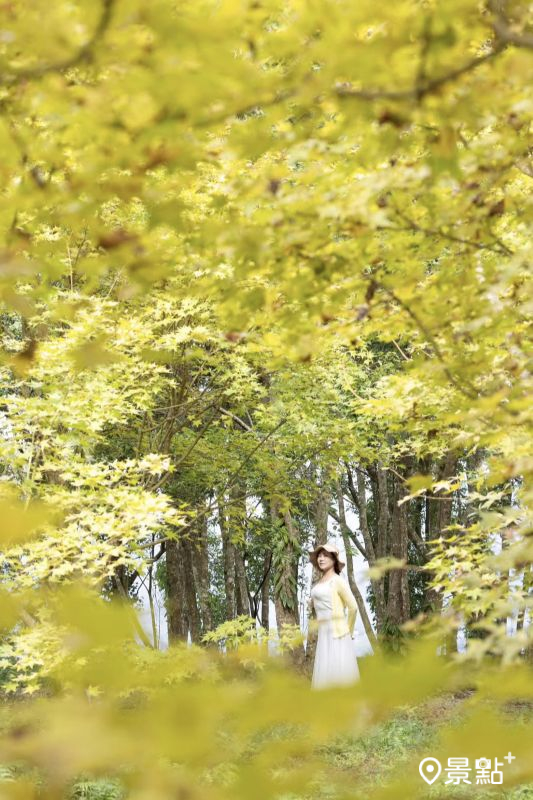 （圖／yijiun_lee）