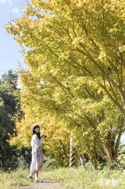 （圖／aday0530，以下同）