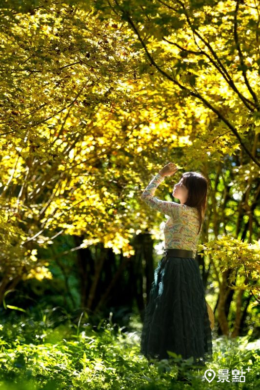 （圖／meow_hm_a1522c2418）