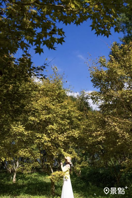 （圖／yijiun_lee，以下同）