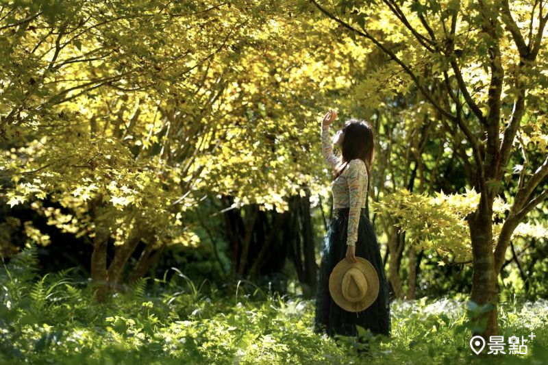 （圖／meow_hm_a1522c2418）