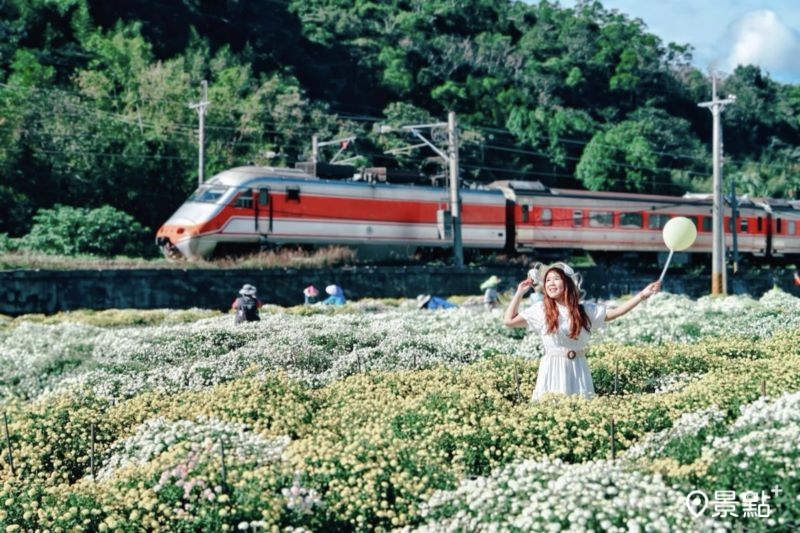 往年銅鑼杭菊花海美景。（圖／yishan1128，以下同）