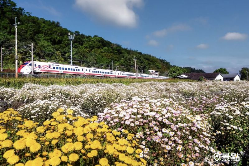 （圖／molly888666）