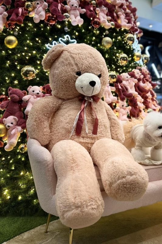 （圖／台茂購物中心）