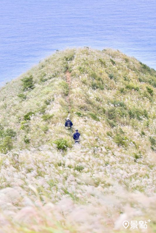 （圖／laiyuping9520）