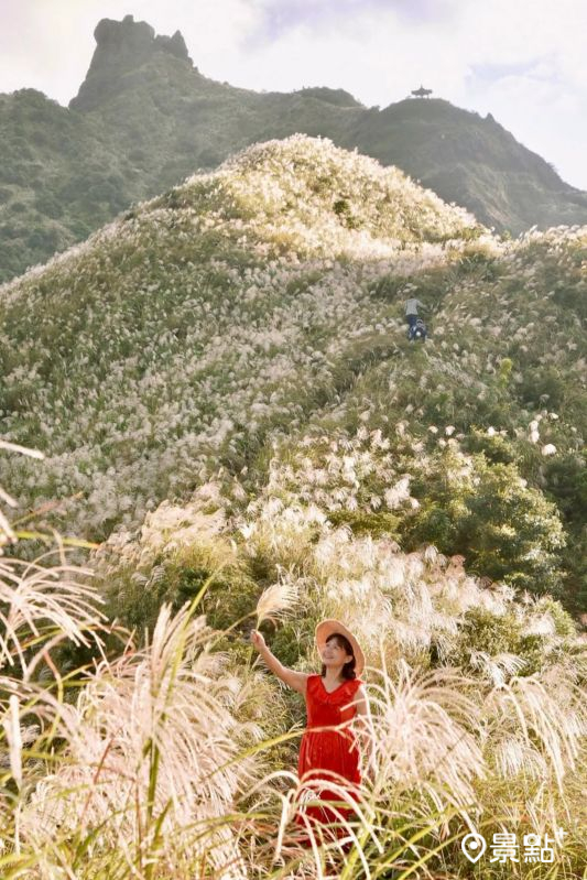 （圖／laiyuping9520，以下同）