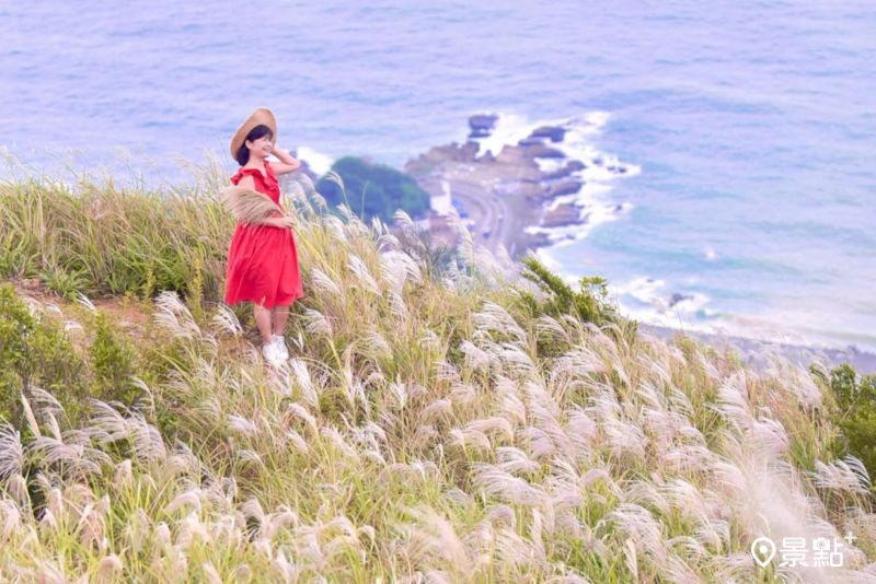 「茶壺山步道-黃金二稜（煙囪稜）」坐擁芒草同框海景畫面，吸引網友前往取景。（圖／laiyuping9520）