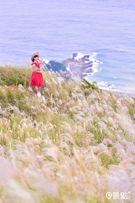 於2025年11月15日拍攝的「茶壺山步道-黃金二稜（煙囪稜）」芒草美景。（圖／laiyuping9520，以下同）