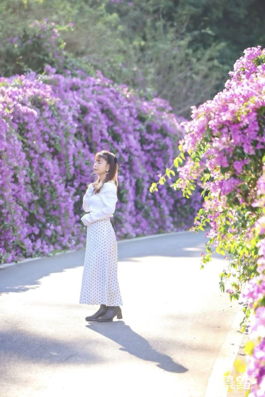 （圖／153_mom，以下同）