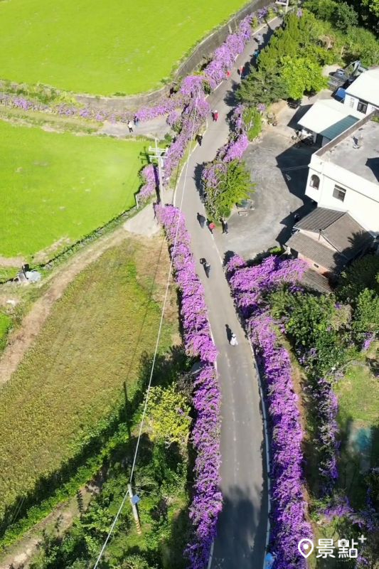 （圖／shih_hsuan6260）