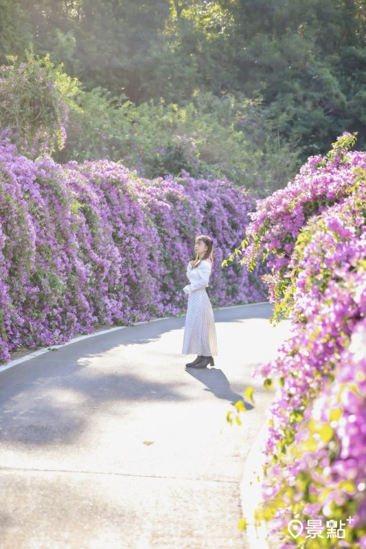 （圖／153_mom，以下同）