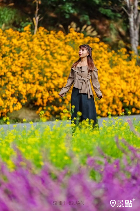 （圖／shih_hsuan6260）