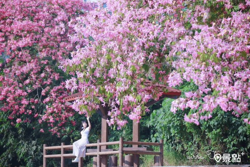 （圖／airratseng）