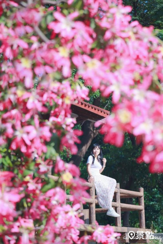 （圖／airratseng）