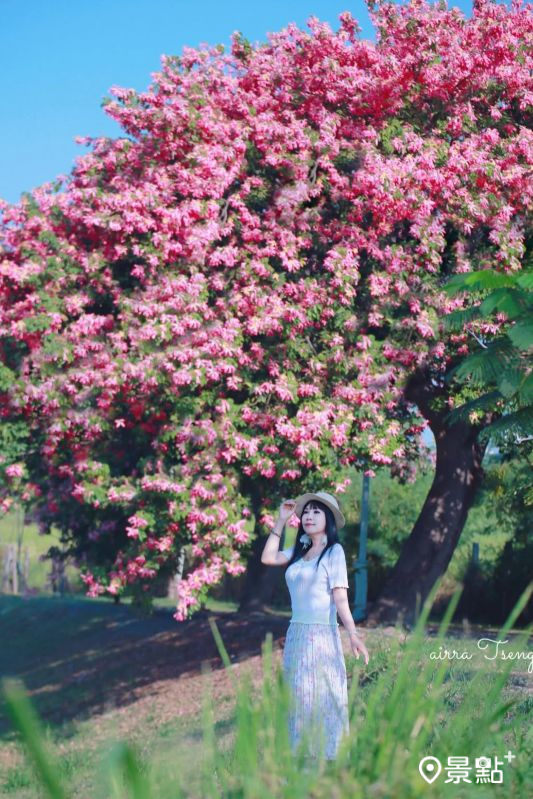 （圖／airratseng，以下同）