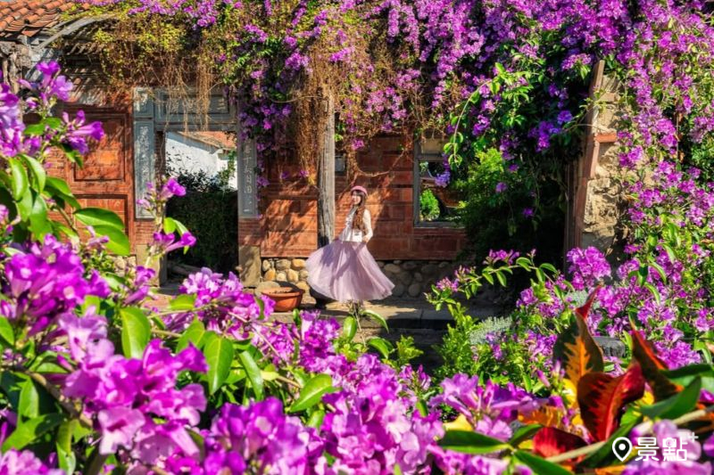 蒜香藤花海瀑布Ｘ百年紅磚古厝！廢墟風花景10大美拍範本必收