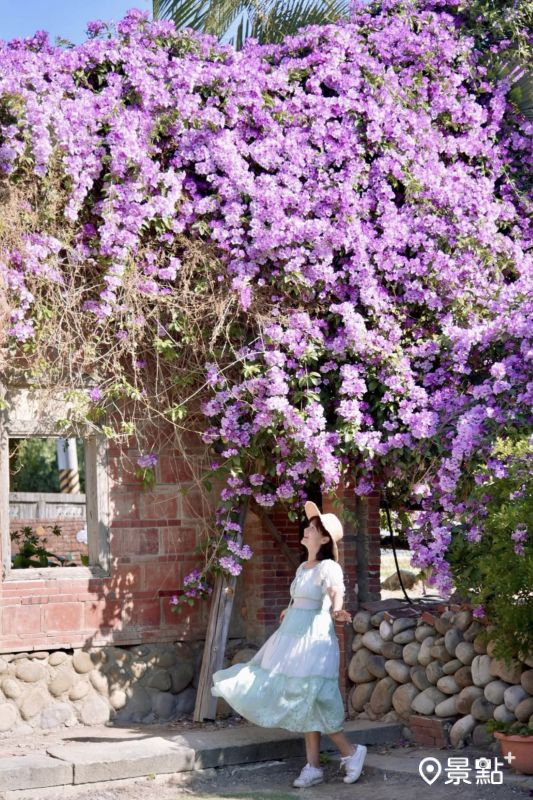 （圖／laiyuping9520）