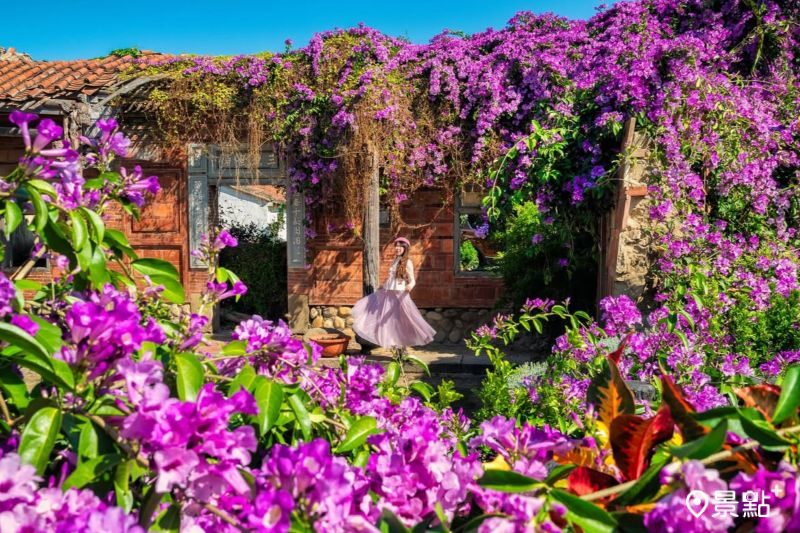 （圖／molly888666，以下同）