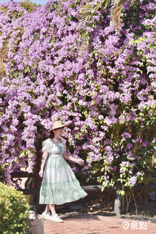 （圖／laiyuping9520，以下同）