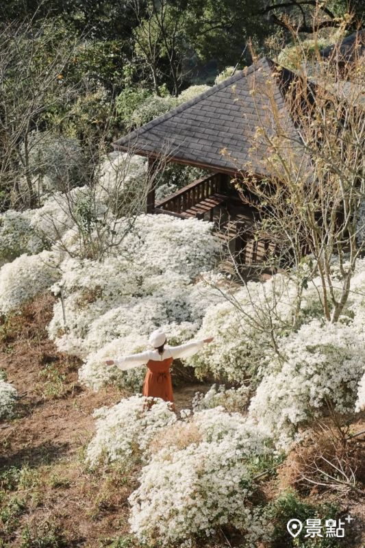 （圖／karenfaith_chiang，以下同）