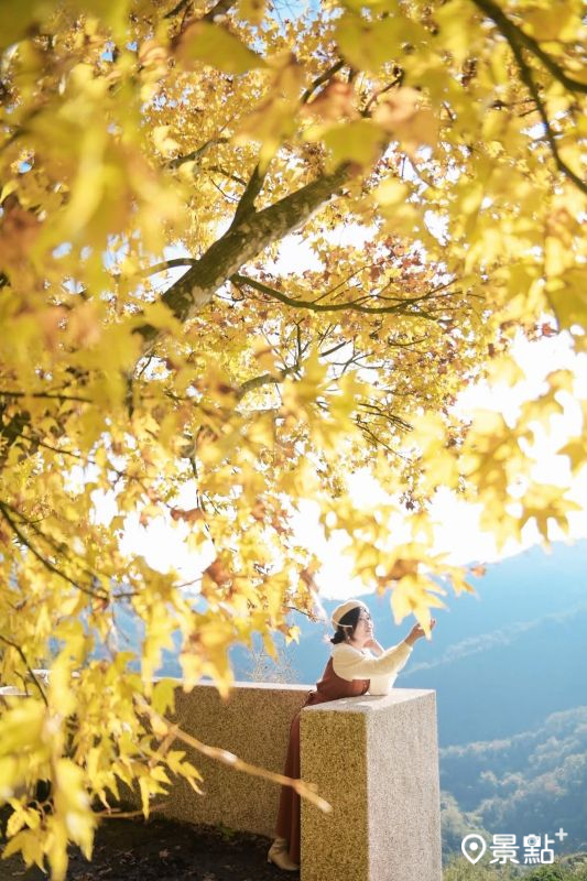 （圖／karenfaith_chiang）