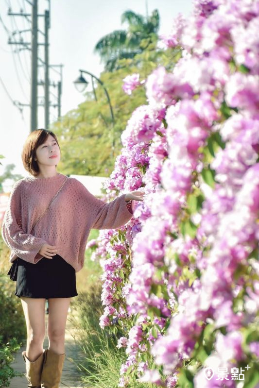 （圖／an700328，以下同）