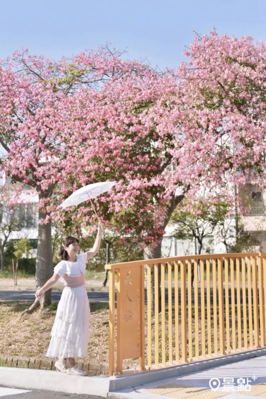 （圖／laiyuping9520）