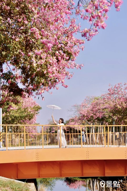 （圖／laiyuping9520，以下同）