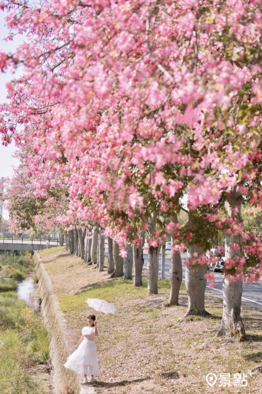 （圖／laiyuping9520，以下同）