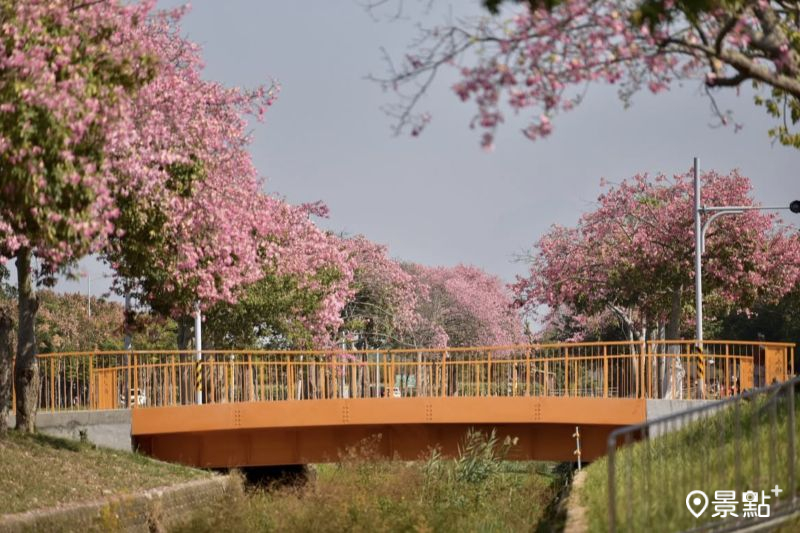 （圖／laiyuping9520）