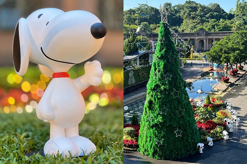 史努比大型氣偶公仔聖誕樹必追！公館聖誕季自來水園區免費入園日曝